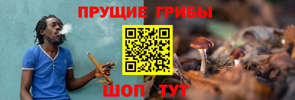Псилоцибиновые грибы мухоморы  цены наркотик  Сарапул  Вход с VPN 